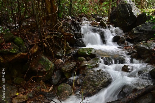 Fototapeta Naklejka Na Ścianę i Meble -  Scenery Along Nature Trail at Waterfall National Park in Ranong Province