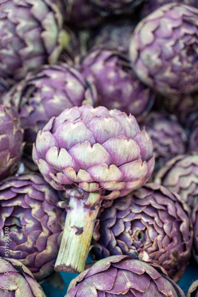 Fototapeta premium Big purple globe artichokes heads on farmers market in Brittany, France