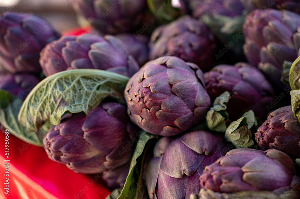 Fresh raw heads of artichokes plants for sale on farmers market Fresh raw heads of artichokes plants for sale on farmers market