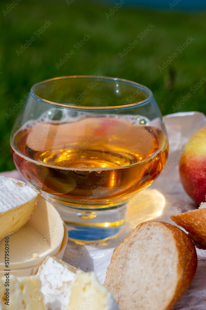 Lunch on green grass fields on chalk cliffs of Etretat, french cheese camembert and apple cider drink with Atlantic ocean on background, Normandy, France Lunch on green grass fields on chalk cliffs of Etretat, french cheese camembert and apple cider drink with Atlantic ocean on background, Normandy, France
