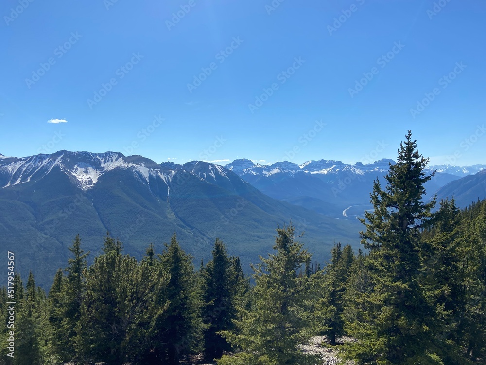 Mountain Range With Trees and water