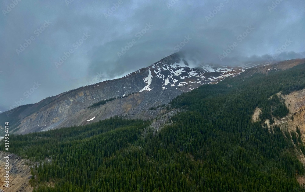 Obraz premium Mountain Range With Trees and water