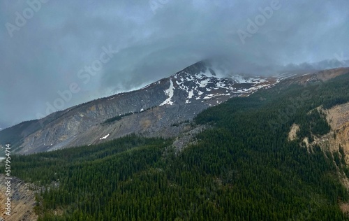 Mountain Range With Trees and water