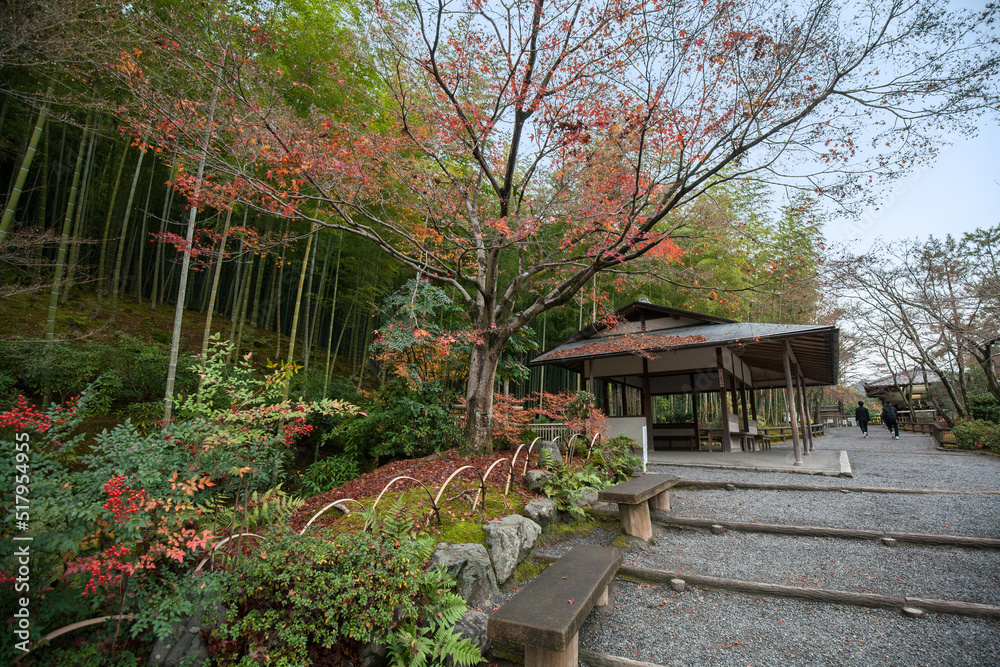 Autumn garden in Tenryu-ji Temple, is a Zen Buddhism temple in Kyoto, Japan