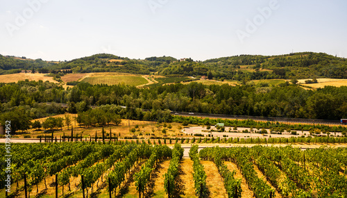 Vineyards of Tuscany