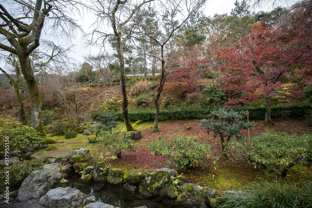 Naklejka premium Autumn garden in Tenryu-ji Temple, is a Zen Buddhism temple in Kyoto, Japan