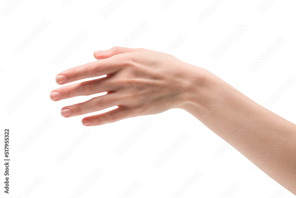 Woman hand isolated on a white background.