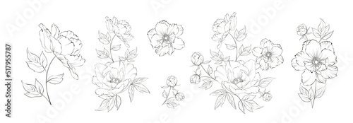set of differents peony decoration on white background.