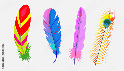 Realistic colorful feather of birds set. goose 

feather isolated on white background. goose 

feathers of various shapes and colors.

