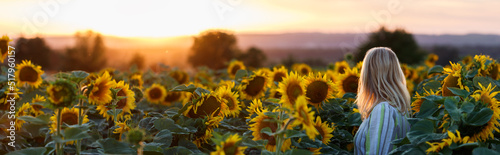 Woman standing in sunflower field during sunset. Panoramic view of rural scenery in summer