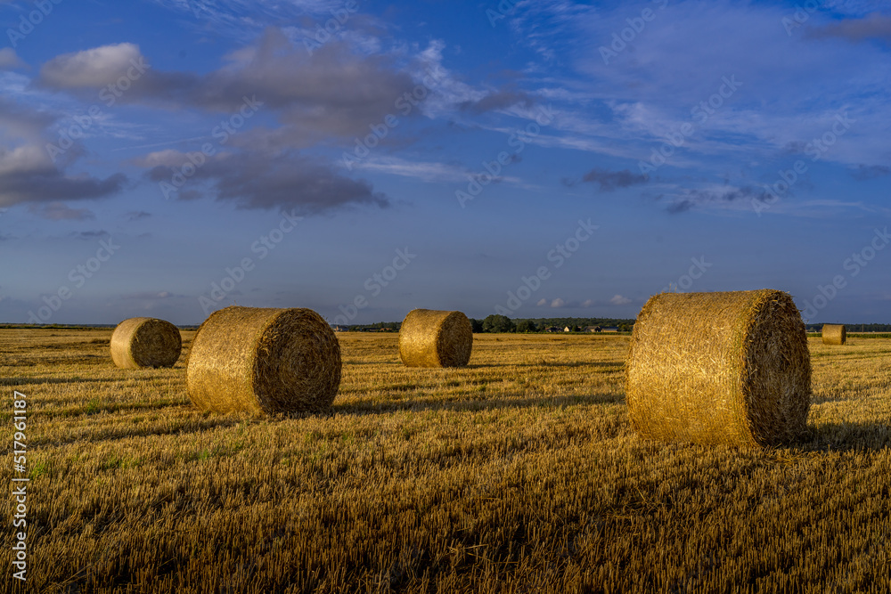 Paysage campagne 1373