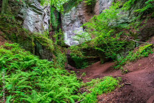 The famous place called Elfengrotte in the Thuringian Forest
 photo