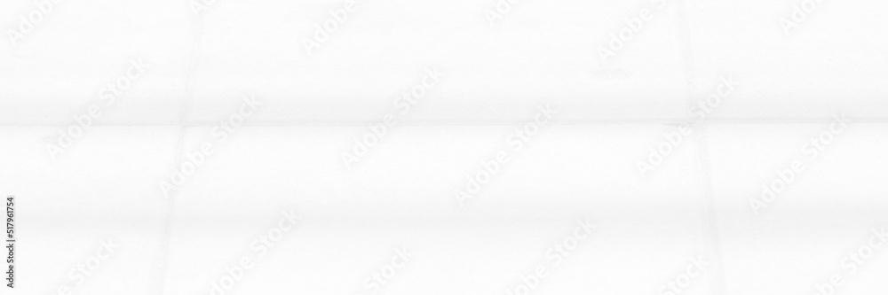 Abstract blurred background. The shadow reflection of leaves and gray light lines. on the white surface concrete wall. for wallpaper, backdrop and design. Abstract blurred background. The shadow reflection of leaves and gray light lines. on the white surface concrete wall. for wallpaper, backdrop and design.