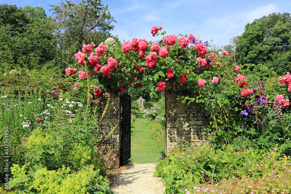 Climbing pink rose bush covering the entrance to a walled garden