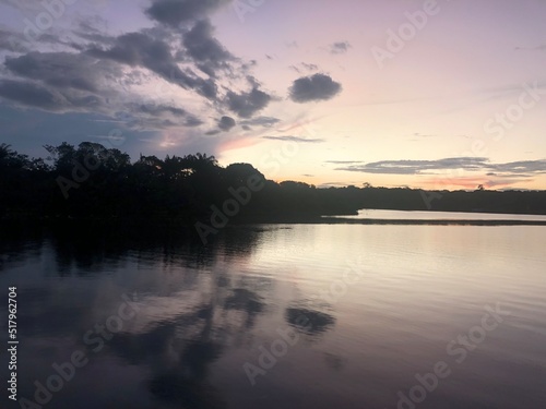 Amazon nature