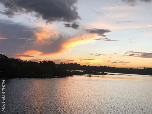 Amazon nature