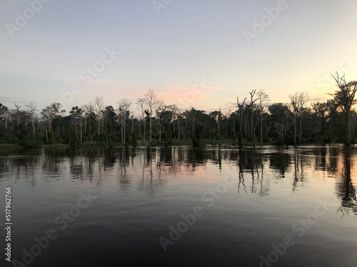 Amazon nature