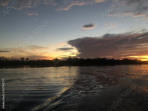 Amazon nature