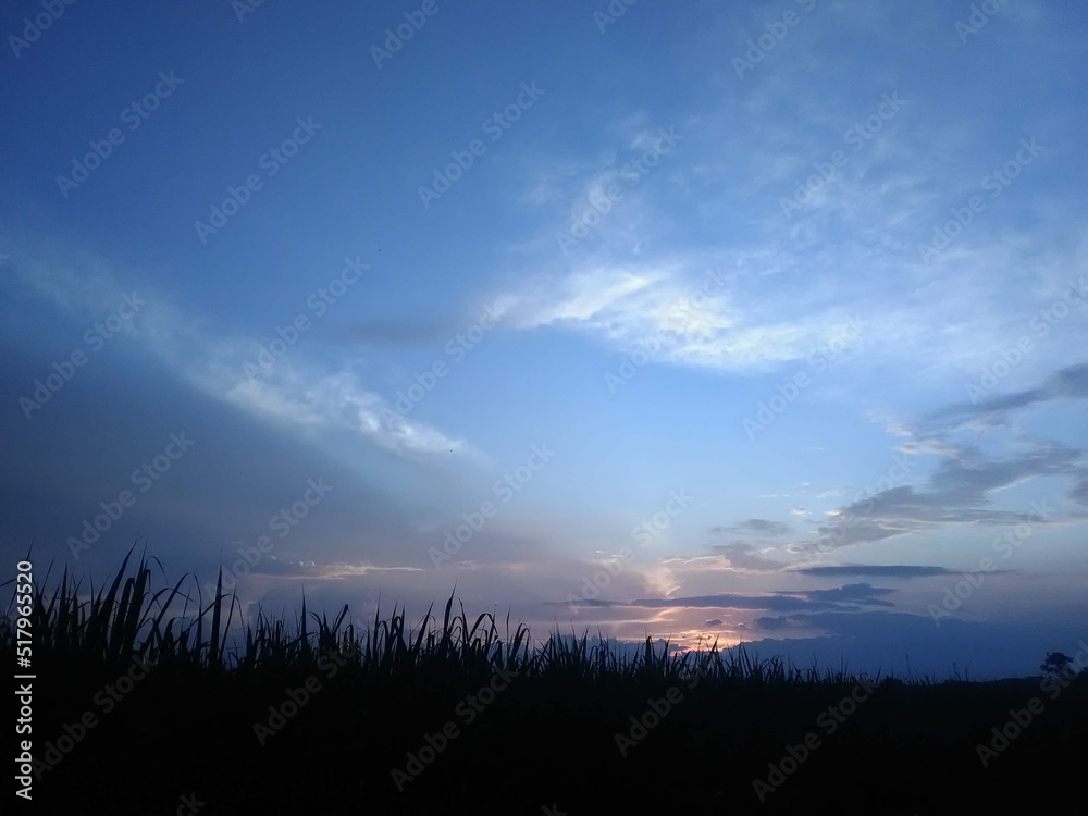 Fototapeta premium sunset over the field