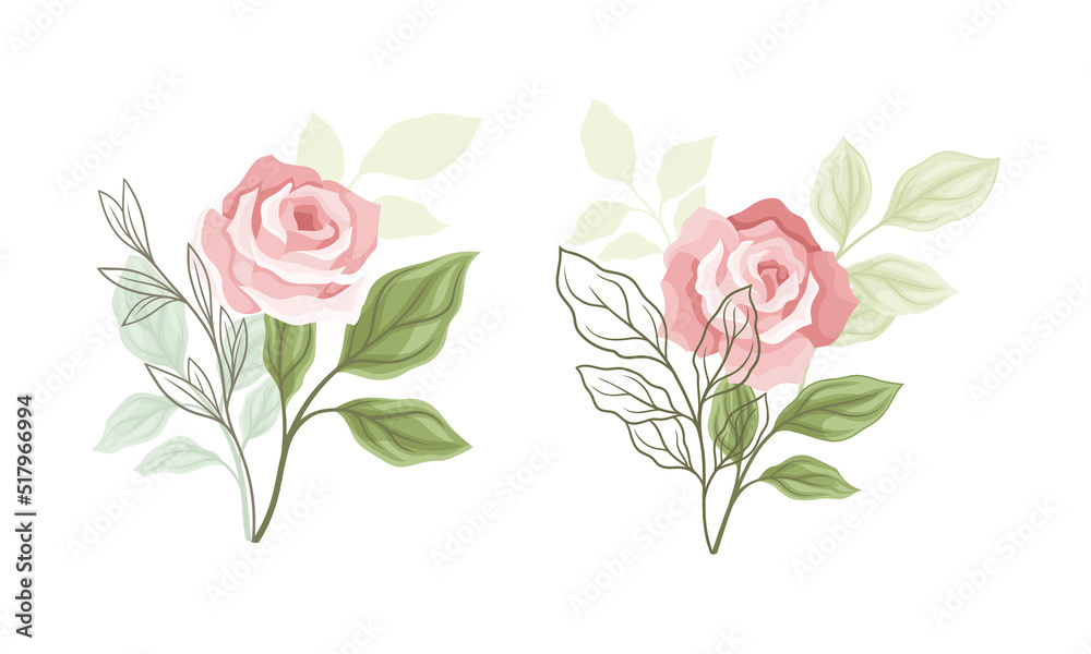 Obraz premium Pink Rose Blossom on Stem with Green Leaf as Garden Flora Vector Set