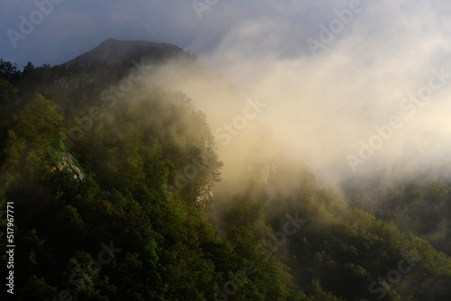 Nebelwolke bei Sonnenuntergang über einem Bergwald, Zurim-Gebirge, Montenegro // Cloud of fog at sunset over a mountain forest, Zurim Mountains, Montenegro
