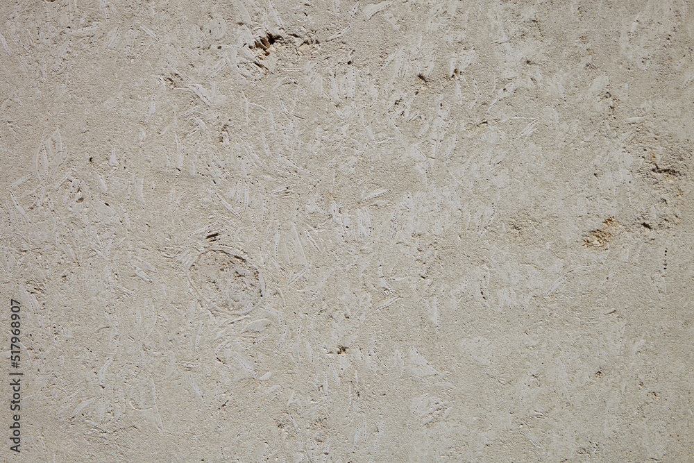 This is a light limestone slab with traces of shells. Shell rock texture. Natural stone background