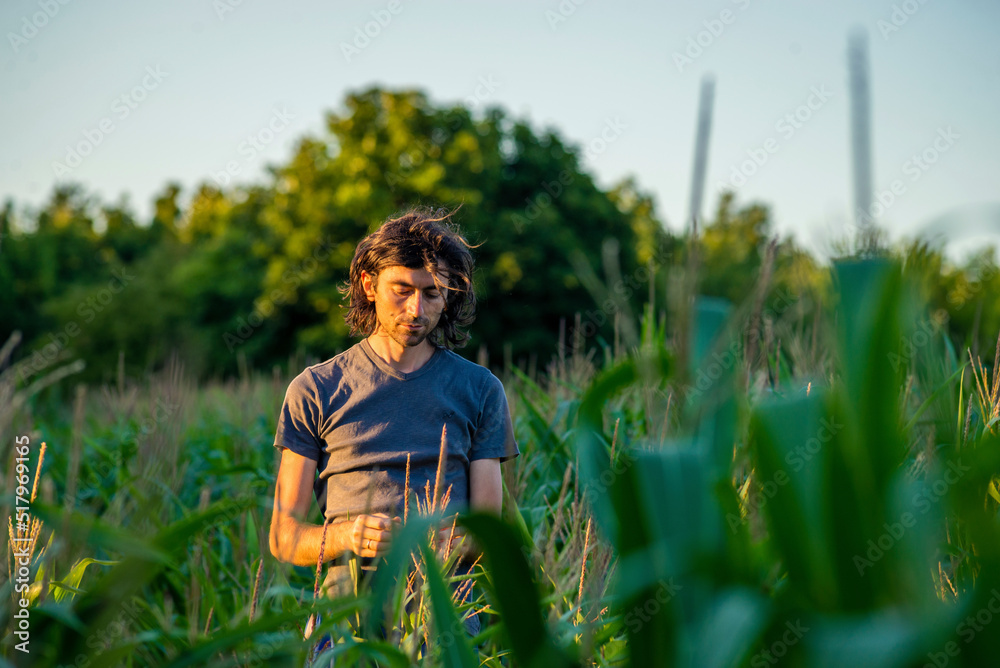 young man examine plant in corn field sunset sun A man inspects a corn field and looks for pests. Successful farmer and agro business young man examine plant in corn field sunset sun A man inspects a corn field and looks for pests. Successful farmer and agro business