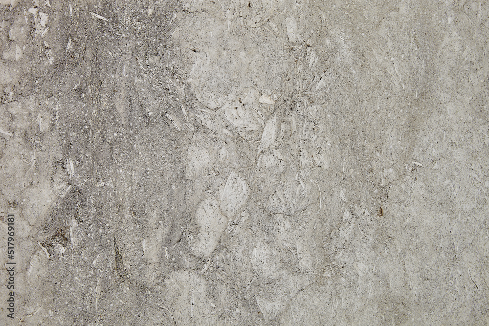 Fototapeta premium This is a slab of light limestone with traces of shells. Shell texture. Natural stone background