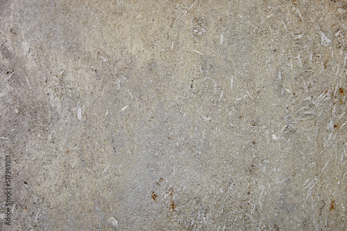 This is a light limestone slab with traces of shells. Shell rock texture. Natural stone background