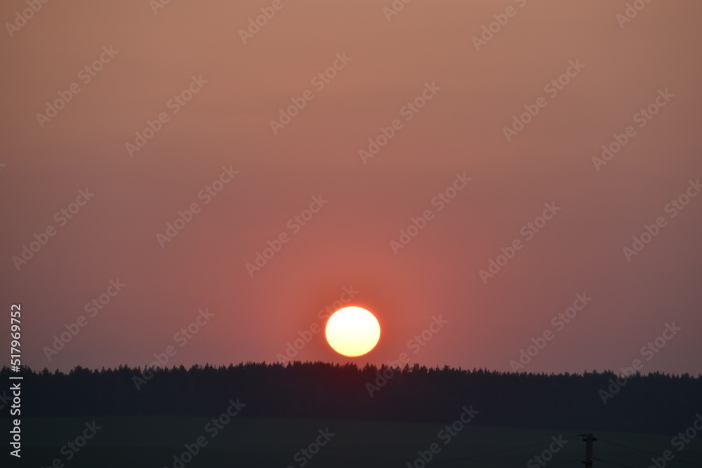 Obraz premium The red ball of the sun on the sunset horizon in the evening and the branches of trees.