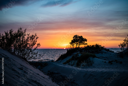 Fototapeta Naklejka Na Ścianę i Meble -  Sunset at the Baltic Sea Beach over dunes. Trees and sand