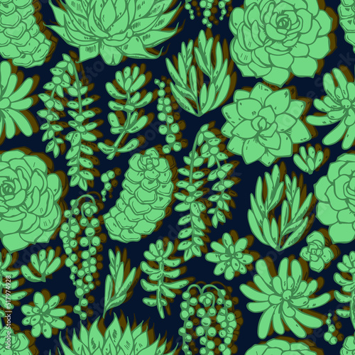 various succulents vector seamless pattern