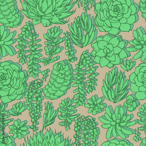 various succulents vector seamless pattern