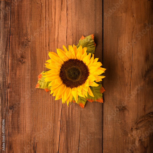 Autumn greeting card concept. Holiday fresh sunflowers on wooden table.