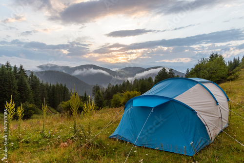 Tent in forest meadow.