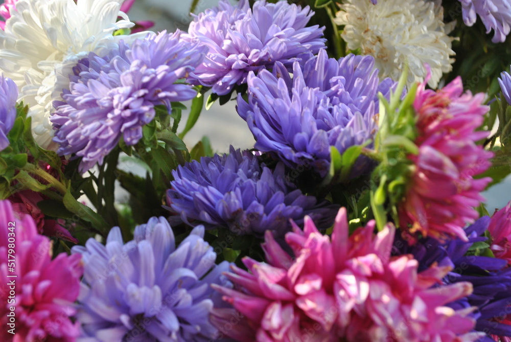 flowers flowers