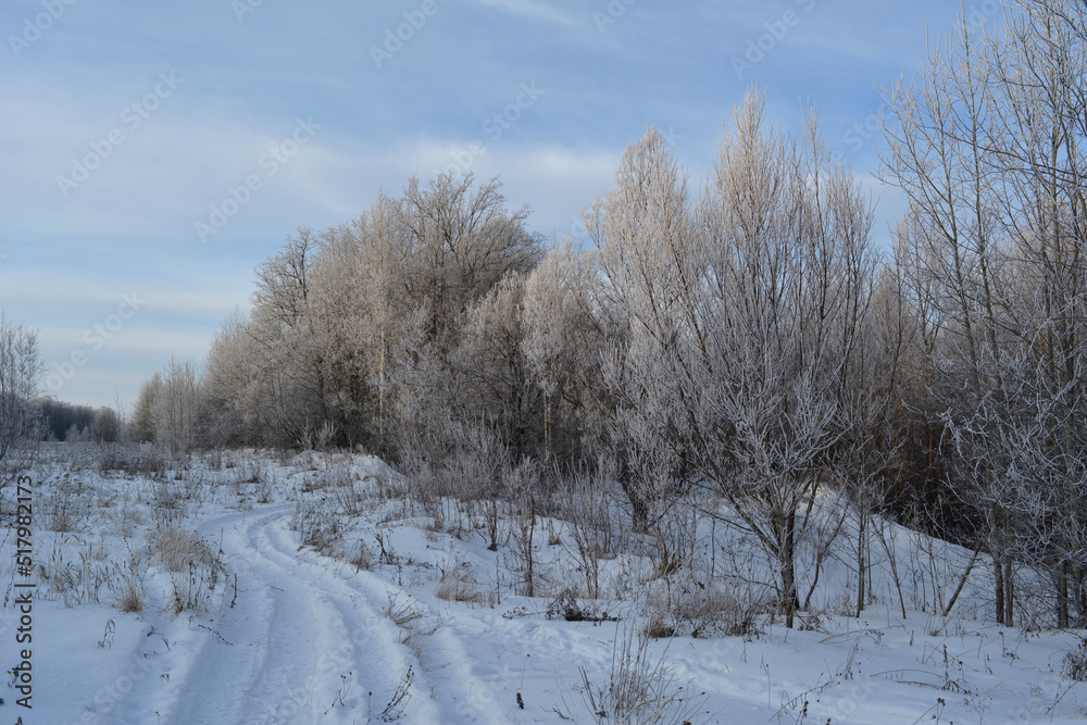 A road through a snow-covered field leads to a winter forest. The trees are covered with frost. There are light whitish clouds in the blue sky. Beauty in nature. The photo. A road through a snow-covered field leads to a winter forest. The trees are covered with frost. There are light whitish clouds in the blue sky. Beauty in nature. The photo.