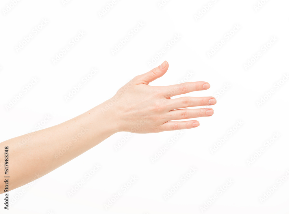 hands show gestures. female hands show gestures on a white background isolated.