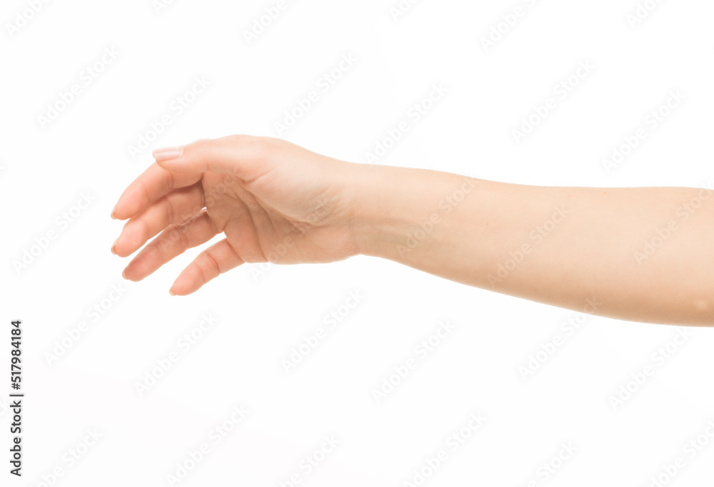 hands show gestures. female hands show gestures on a white background isolated. hands show gestures. female hands show gestures on a white background isolated.