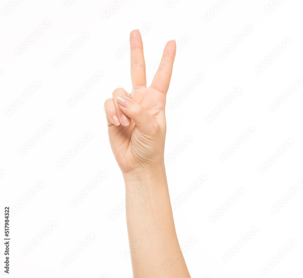 hands show gestures. female hands show gestures on a white background isolated. hands show gestures. female hands show gestures on a white background isolated.
