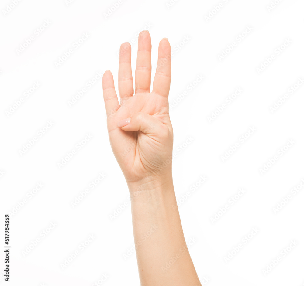 hands show gestures. female hands show gestures on a white background isolated. hands show gestures. female hands show gestures on a white background isolated.