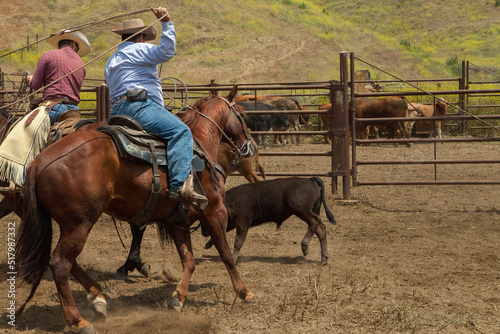 Ranch Cowboy Horse Riding & Livestock photo