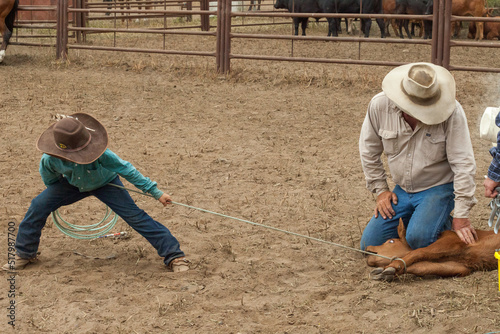 Ranch Cowboy Horse Riding & Livestock