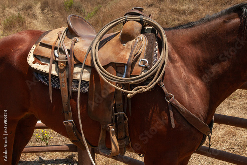 Ranch Cowboy Horse Riding & Livestock