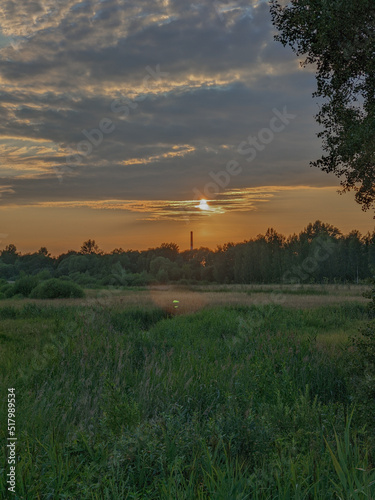 sunset over the field