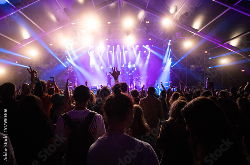 crowd at concert - summer music festival © Melinda Nagy