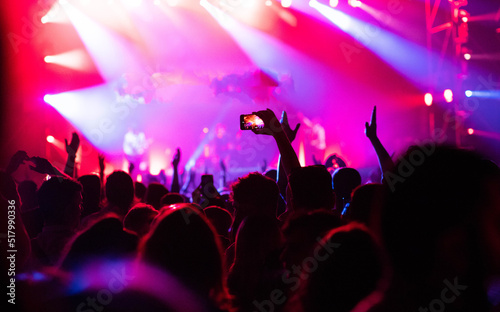 crowd at concert - summer music festival