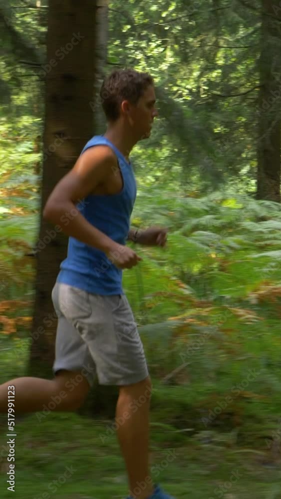SLOW MOTION: Fit man running through the sunlit forest on a perfect summer day. Athletic male exploring the tranquil wilderness by jogging through the coniferous forest on a sunny day in spring. SLOW MOTION: Fit man running through the sunlit forest on a perfect summer day. Athletic male exploring the tranquil wilderness by jogging through the coniferous forest on a sunny day in spring.