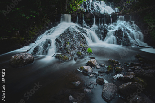 Forest waterfall 2