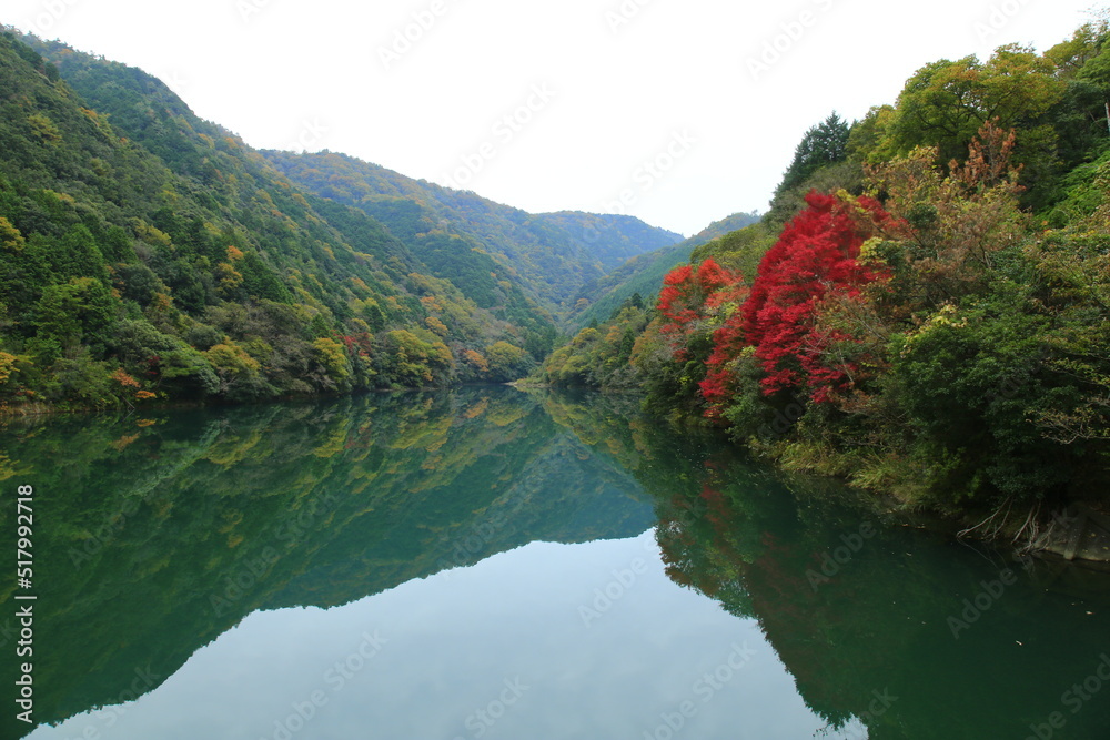 綺麗な紅葉と静寂な水面に映る彩とりどりの景色